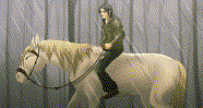 Rain Horse Riding Animation